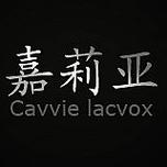 金汇隆时装于1993年进入深圳皮革制衣行业