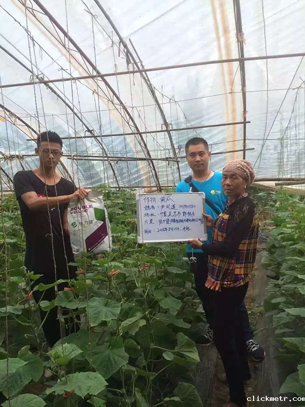 案例名称