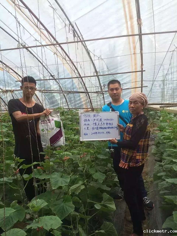 案例名称